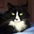 Karen C Elliott's profile image