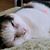 Lory Earles's profile image