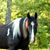 Jeanie Muhs's profile image