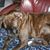 Susan Kay Cain-wagner's profile image