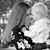 Natalie Anderson Domaradzki's profile image