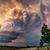 Steve Pekich's profile image