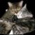 Mary Riley Shawley's profile image