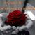Ivonne Villanueva's profile image