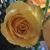 Linda Rudy Beaty's profile image