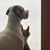 Jolene Jontz Krohn's profile image