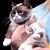 Rich Teske's profile image