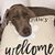 Beau Beau Coots's profile image