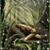 April M Deyhle's profile image