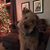 Vivian Greenlief Fleming's profile image