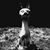 Mike Biggs's profile image