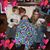 Colleen Maggie's profile image