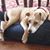 Christine Weller McTigue's profile image