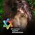 Laisi Rogovin's profile image