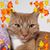 Carol Forsyth Coley's profile image