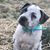 Patricia Earles's profile image