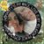 Monica L. Gonzalez's profile image