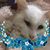 Debbie Howard Lafferty's profile image