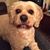 Carol Morgan Galloway's profile image