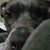 Colleen Duffy's profile image