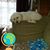 Robert Shatto's profile image