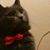 Cheryl Gray's profile image