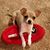 Denise Carroll Frye's profile image