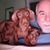 Steven Tomkins's profile image