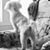Diane Russell's profile image