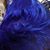 Davs Balvanera's profile image