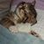 Sue Fleming's profile image