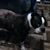 Laura Normand's profile image