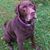 Alinda Wintersteen's profile image