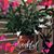 Michele Barkemeyer's profile image