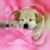 Ruth Ferreira's profile image