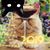 Annette Winkler's profile image