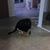 Anita Godkin's profile image