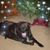 Patty Jackson's profile image