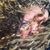Jen Aloi's profile image