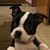 Barbara Williams Hodson's profile image