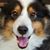 Jenn Coslow's profile image