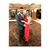 Stefanie Marie's profile image