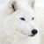 Deborah Paugh's profile image