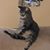 Coreen La Mantia Perry's profile image