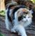 Barbara Anne Stenber's profile image