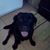 Michele Peters's profile image