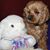 Kim Gundersen's profile image