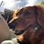Tanya Bouloy's profile image