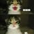 rpriest83's profile image