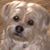 Carol Bradley's profile image